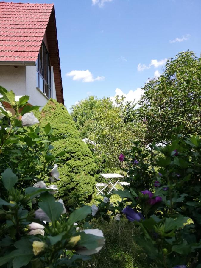 An Der Windmuehle Appartement